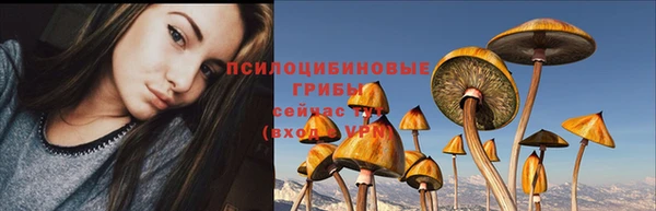 мяу мяу мука Алексеевка