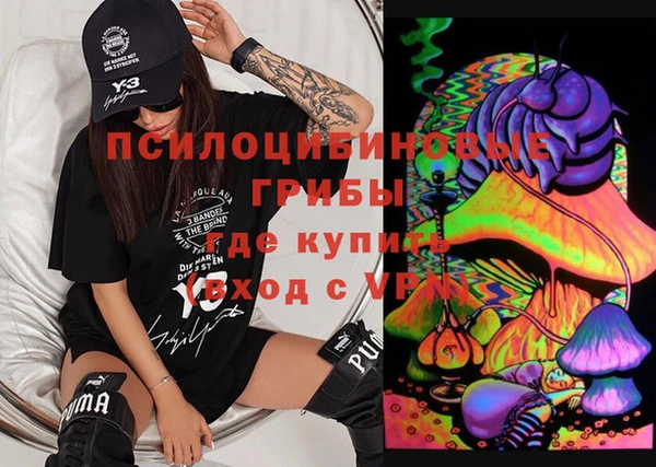 бошки Алексин