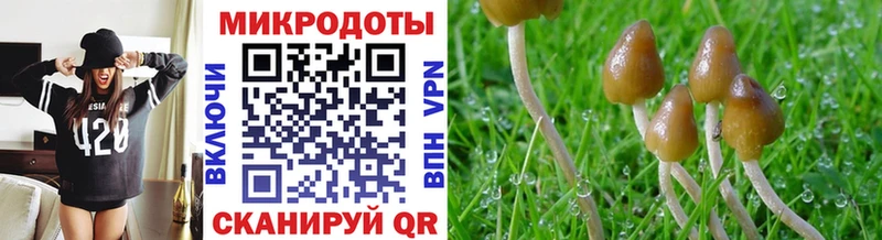 Галлюциногенные грибы MAGIC MUSHROOMS  Фурманов 